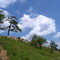 Summit of Peaked Mountain