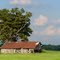 Weathered Outbuilding, Bongards (Benton Township), MN - July 31st, 2011