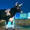 Bongards' Cow - Bongards, MN - October 9th, 2011