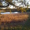 Pond in Caldwell county near Breckenridge