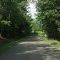   Symonds Hill Road Near Woodhull NY & Borden NY