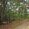 Mills Reservation