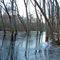 West Essex Park