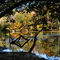 Pond, Hidden From View