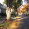 South Orange