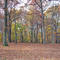 South Mountain Reservation