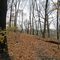 Black Brook Park