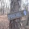 Pine Hill, Ft. Henry Tn