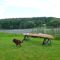 Westtown, Oso, the kayak & the pond