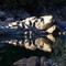 Yuba River at Jones Bar