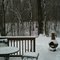 Backporch overview ravine