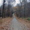 Enchanted Acres
