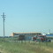 Mammoth Orange, Hwy 99