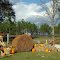 2010, Rte 97 - Halloween