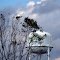 2010, Walnut Hills, FL - water tower