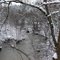 Fourche Maline Creek