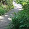 Pocomoke Nature Trail