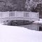 SNOW DAY 2