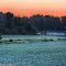 Foggy Field at Dawn