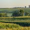 Rolling Hills, Rabbit River Valley