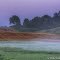 Foggy Hills