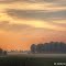 Field Bathed in Morning