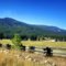 Kootenai Creek Road