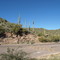 Road to Phoenix