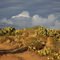 Storm Clouds at Agua Fria