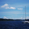 Sailing, Case Inlet.  Mount Rainier in the background