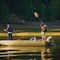  Poling boat along shore, Anderson, Island, Drayton Passage
