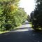 Road to the lake.