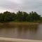 Bunny Creek road