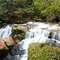 Coquille River East Fork Falls