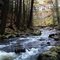 Silver Cascades
