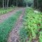 Stony Valley Game Lands Trail