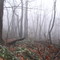 fort indiantown gap