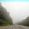 Morning Fog