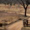 service road, LBJ NHP December 2007