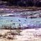 Desert Ducks over Pedernales River, Winter 2005