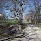 Fannin County Road 4630