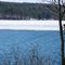 Lake Holiday Tundra Swans