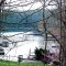 Silent Spring Cove