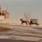 Amish