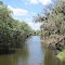 Frog Creek