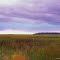 Lake Roseau Wildlife Management Area