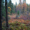 My property at Caswell Lakes Subdivision, Alaska