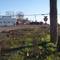 Liberty Cash Store (View Southerly)