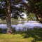 Pasquiset Pond from Nordic Lodge