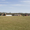 Peckham Farm